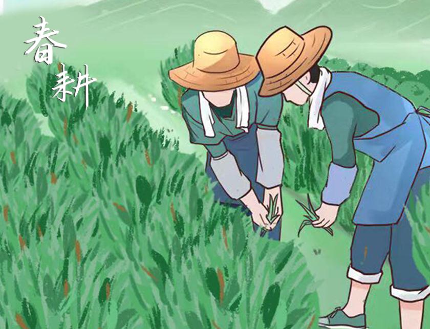 解锁中建"春耕图"→建证美好时代