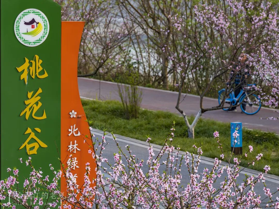 幸福田园——惠美花境——鲁家滩湿地公园——康家浩湿地公园图@又骀