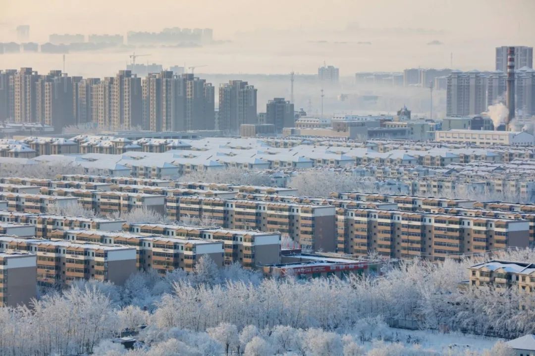 更美了經歷了一場大雪過後令人驚豔披上銀裝的雍陽大地春雪壓枝綺夢來