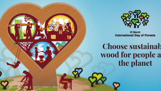森林在确保可持续生产和消费方面的作用|2022国际森林日