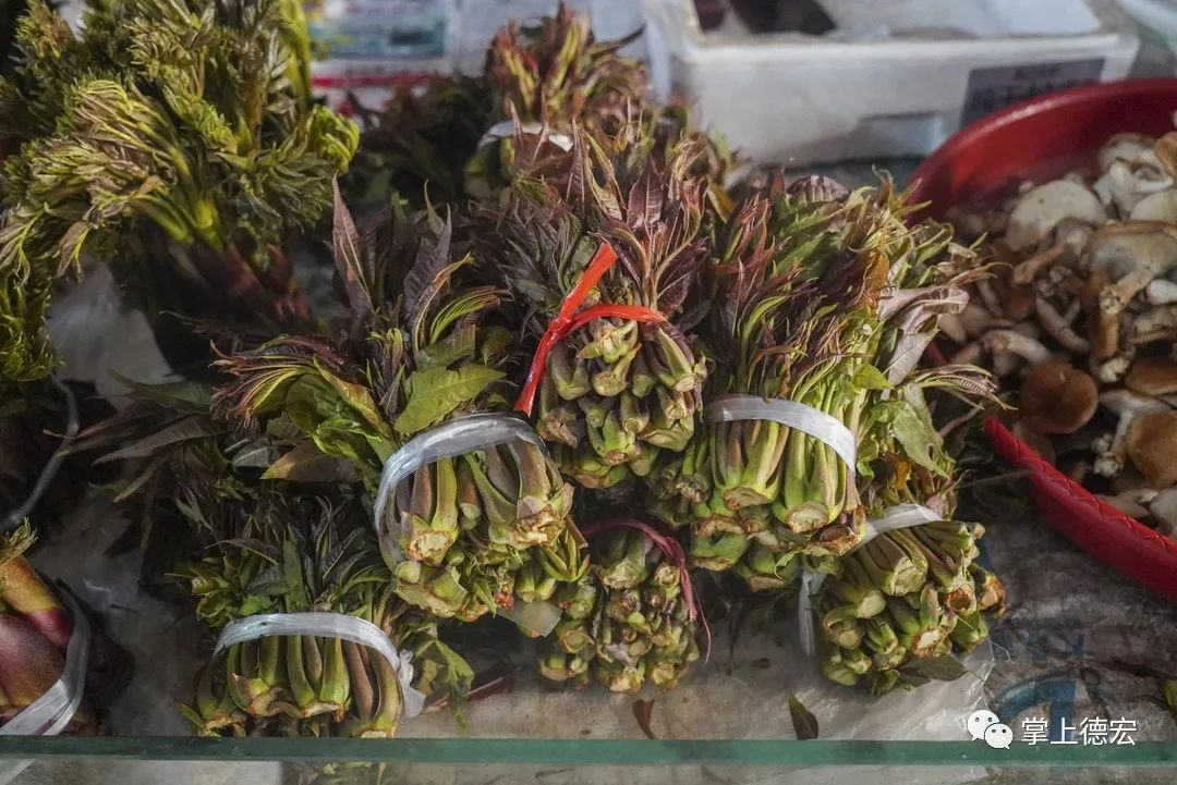 桑葚叶尖,苦芊芊,刷把菜在德宏是顶时髦的事儿德宏吃货群不知道去哪吃
