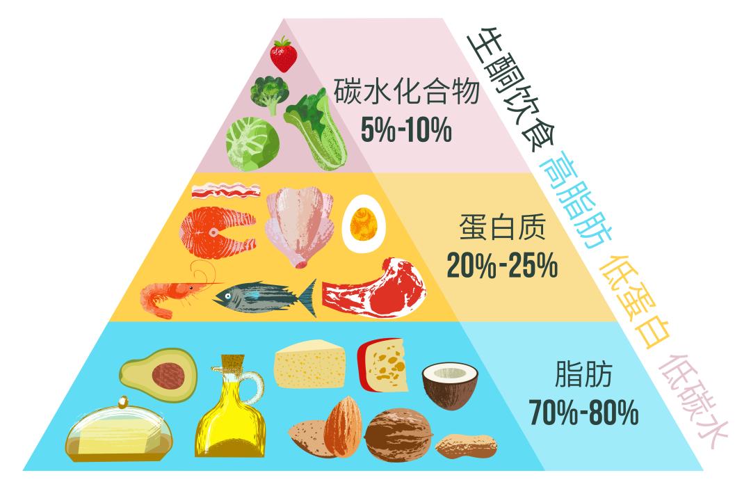 碳水化合物蛋白质图片