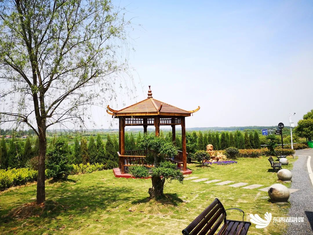 清明将至武汉睡虎山陵园发布祭扫提示