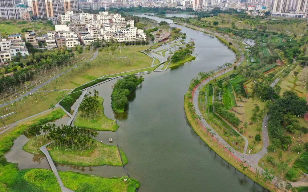 新华社关注!海口“母亲河”美丽蜕变的秘密→