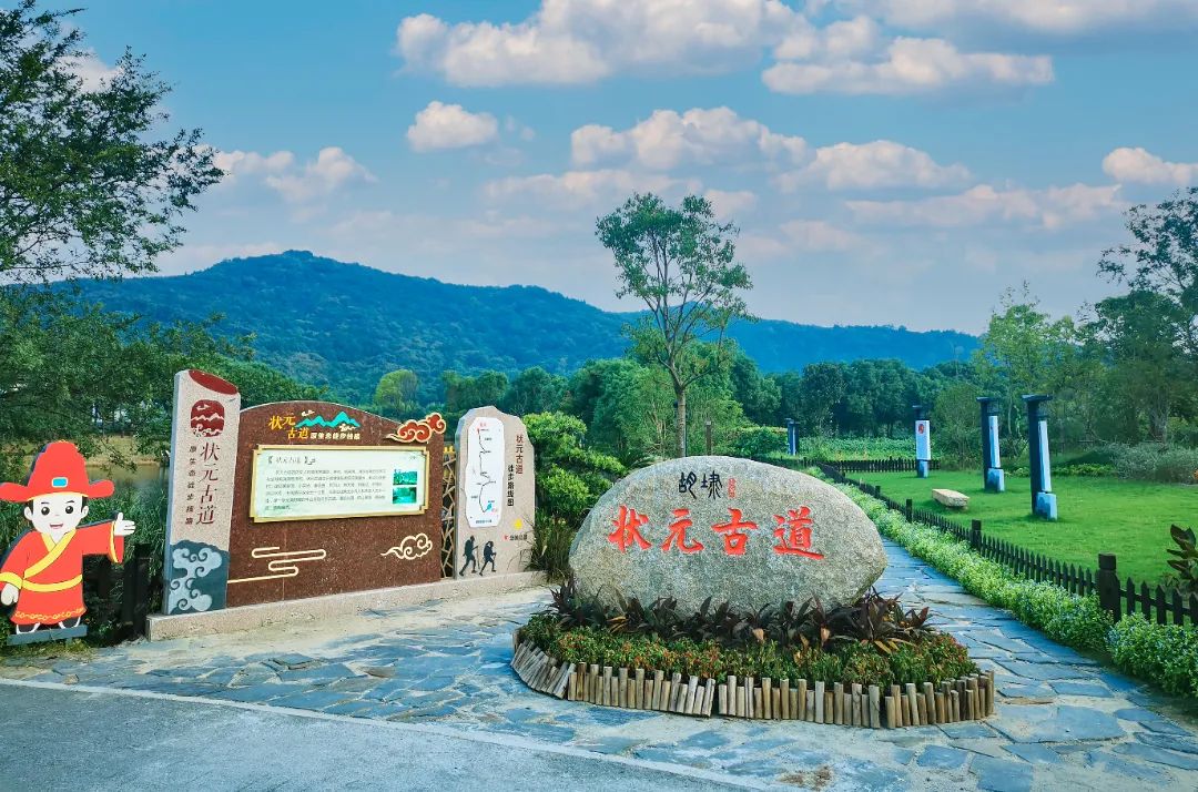 步道茶园花海九龙湾生态步道全新亮相