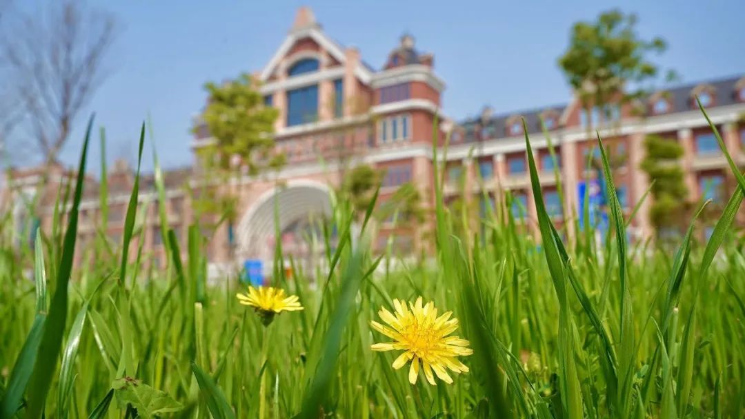 華中科技大學武漢新地標1