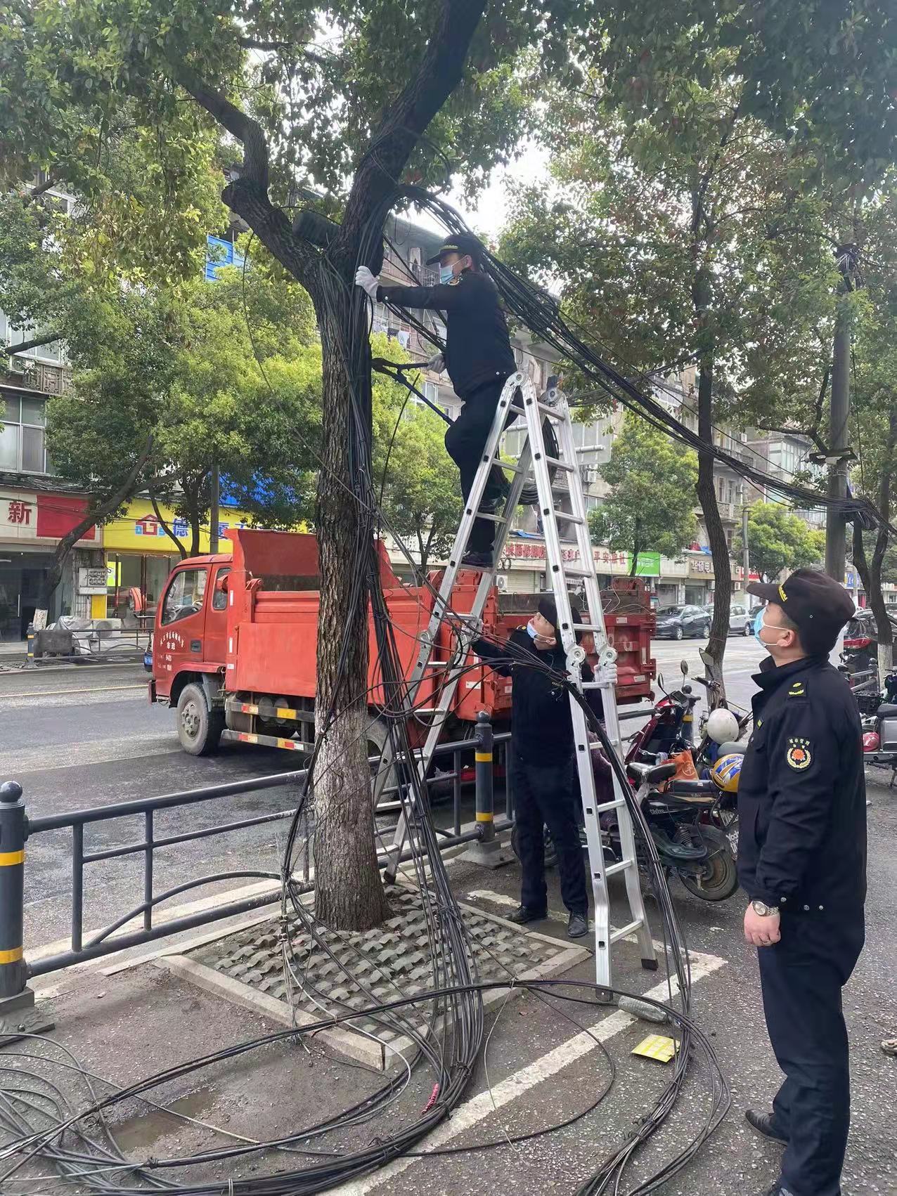 废旧电线杆倒塌路面 城管快速处置保通畅_澎湃号·媒体_澎湃新闻-The Paper