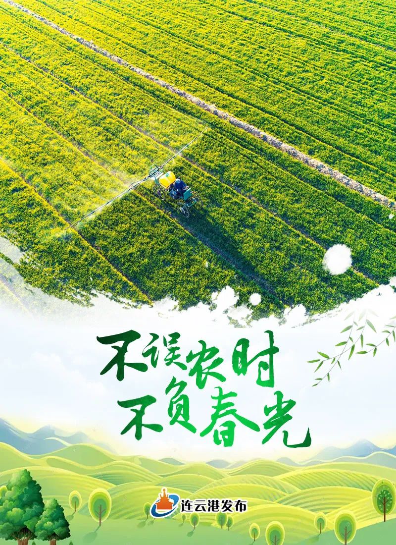 不误农时不负春光
