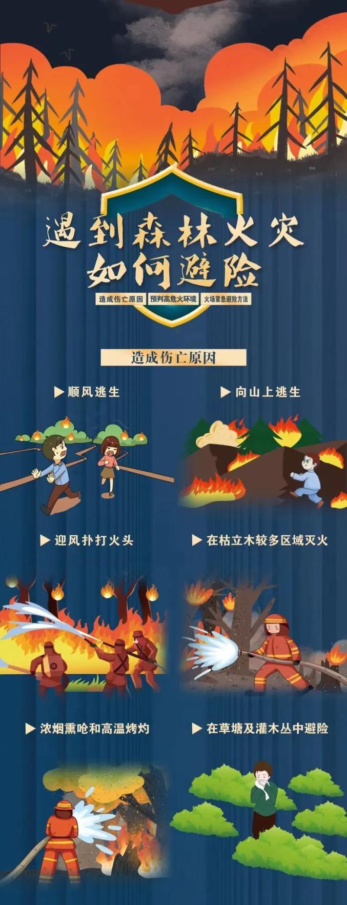 全力以赴打好森林草原防灭火这场硬仗避险避险紧急避险遇到森林火灾