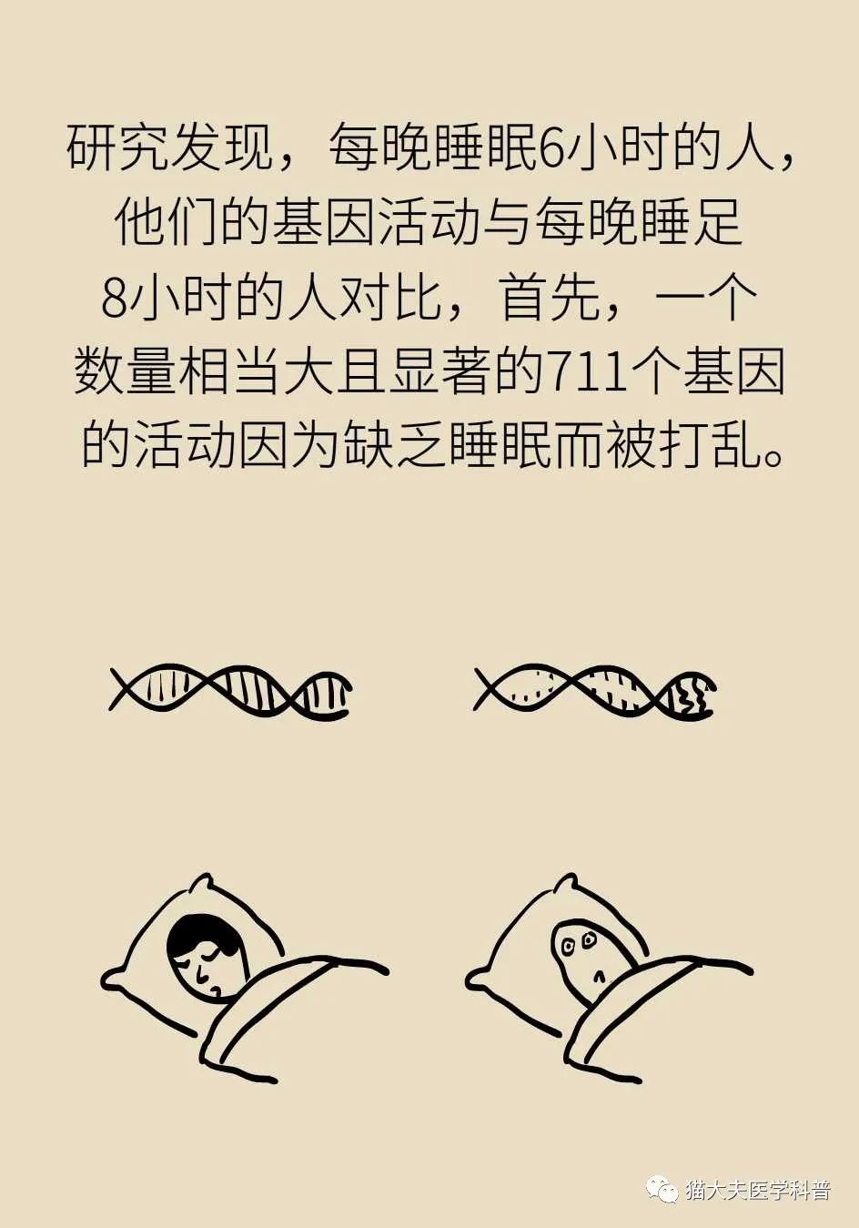 睡觉为啥如此重要？