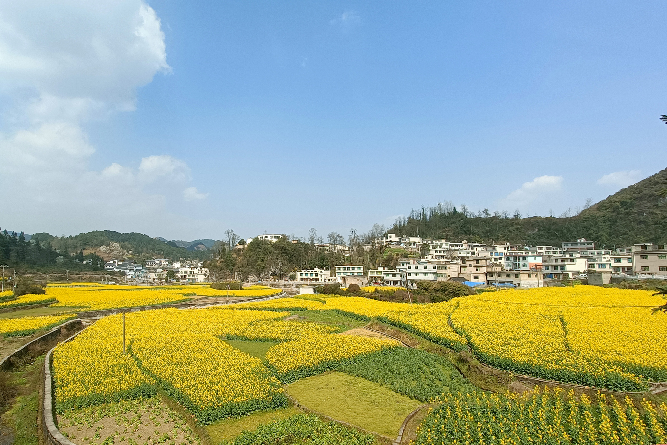 观山湖区百花湖镇抢抓农时忙生产