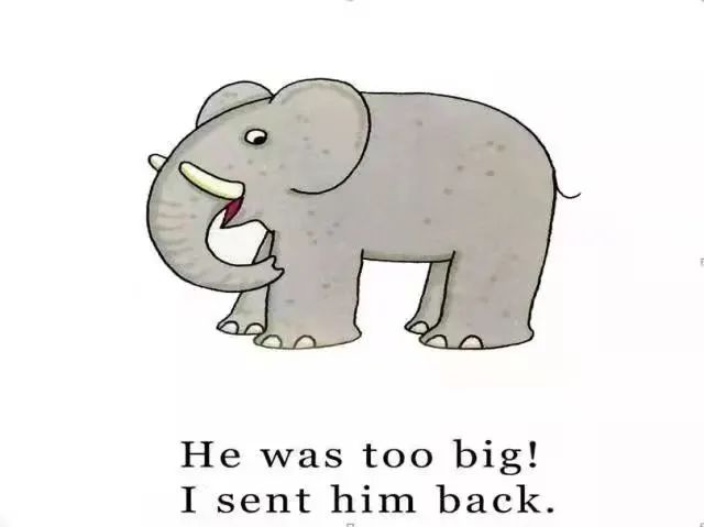 本周日荆州市图书馆绘本馆与你分享dearzoo