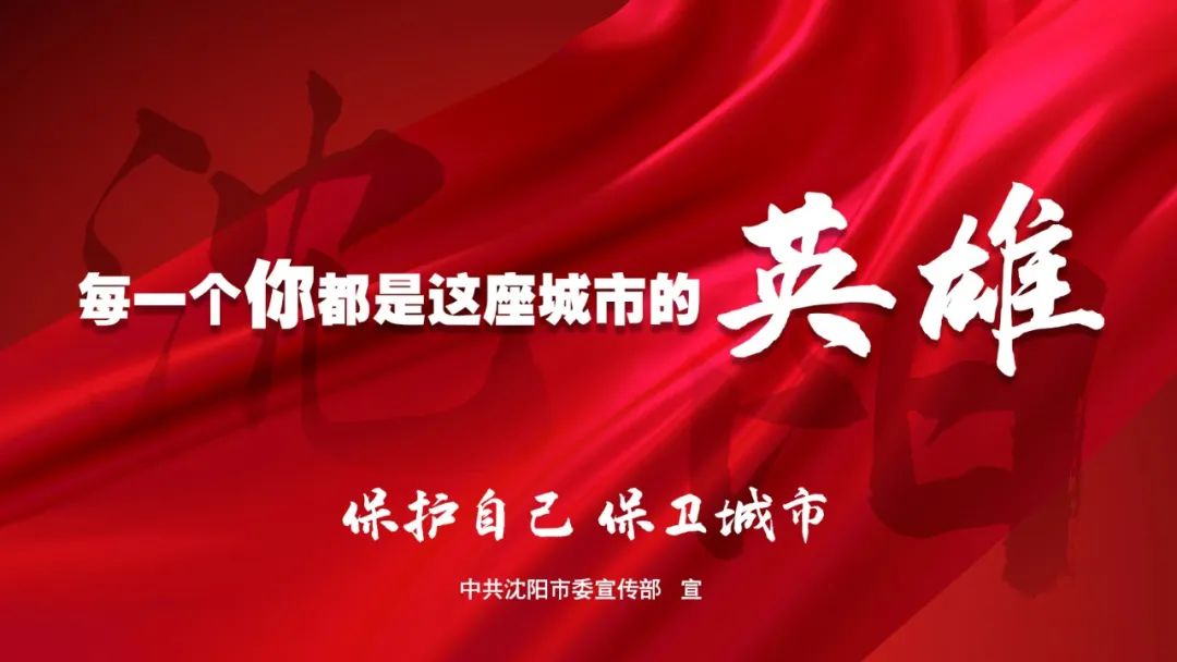 同心抗疫勇当先锋让法徽在疫线熠熠生辉沈阳法院防疫一线扫描