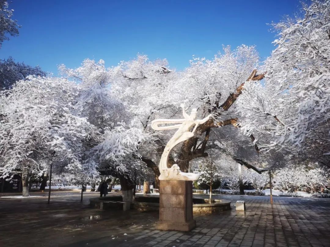 一下雪敦煌就惊艳了世界,沙雪奇缘落雪成诗,美得动人心魄.