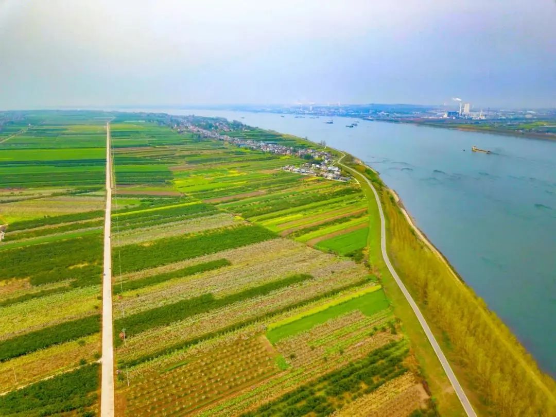 枝江市百里洲.