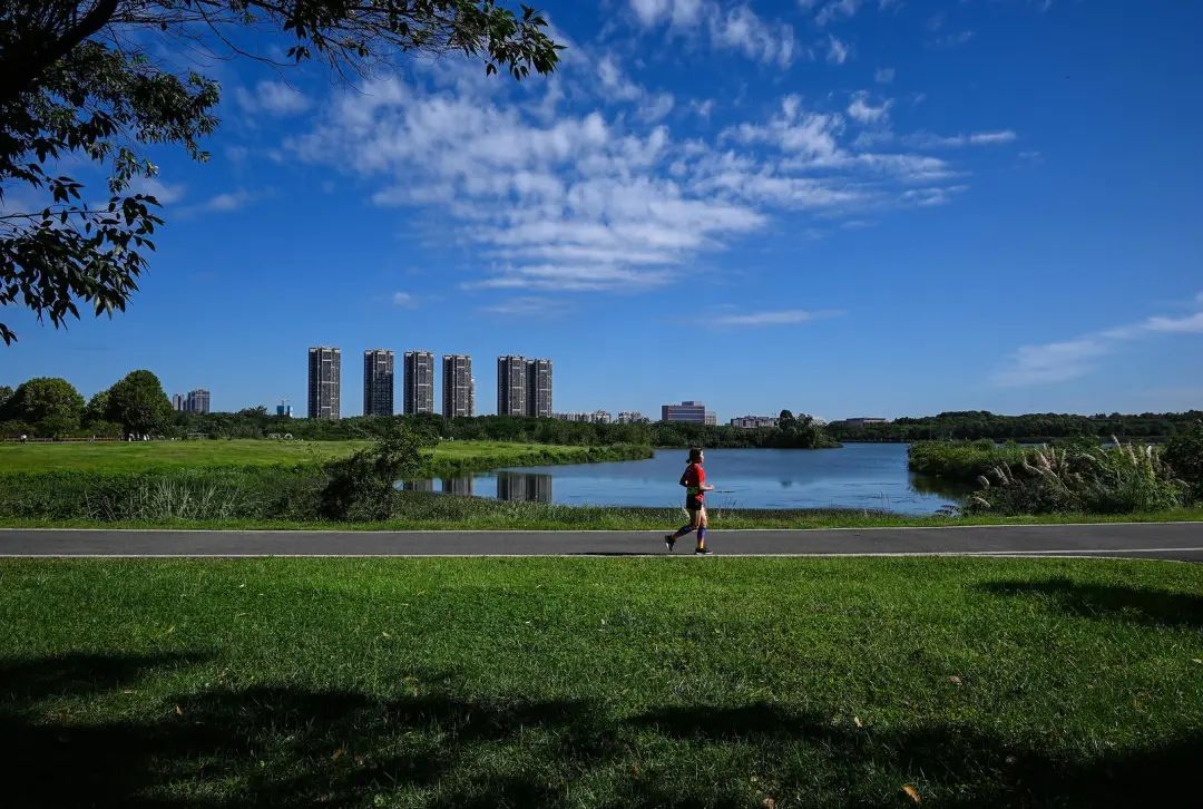  | 青龍湖溼地公園 圖源:成都發布