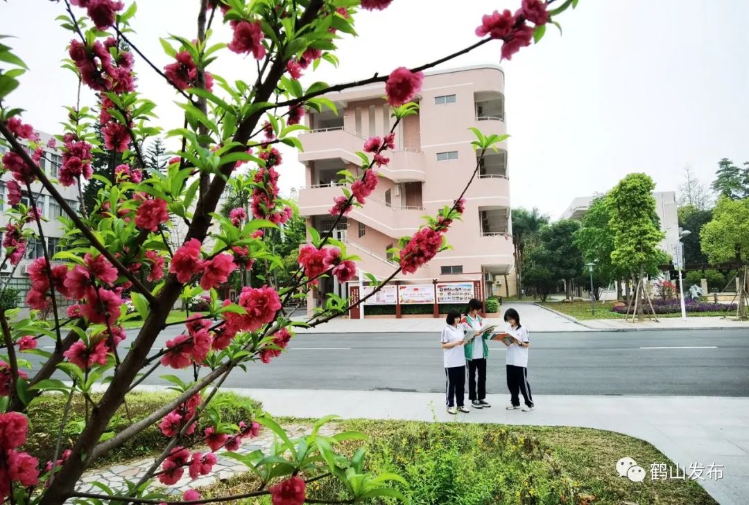 春花烂漫时又一波鹤山校园春景来袭有你的学校吗
