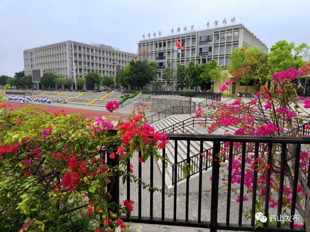 广东鹤山实验中学图片