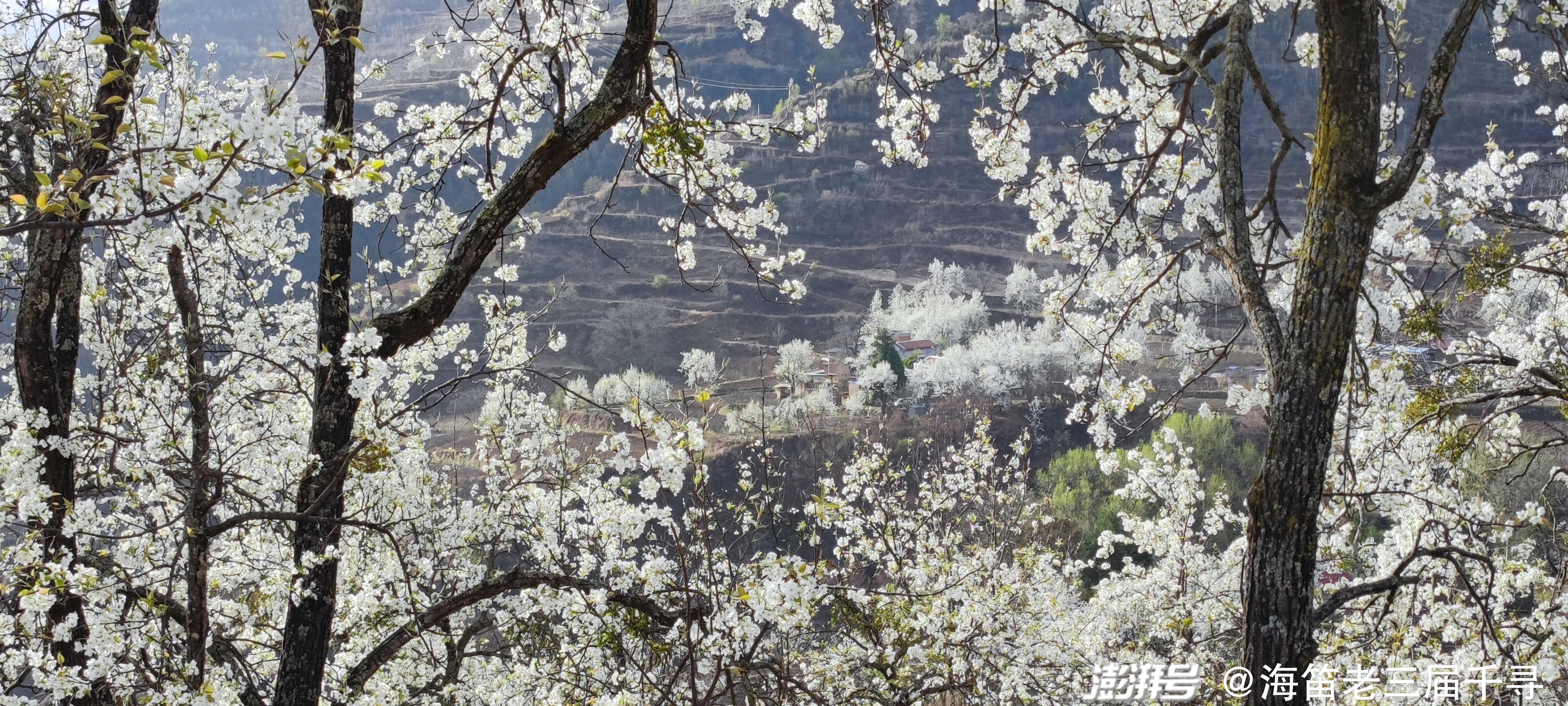 四川金川梨花路一条洁白的哈达