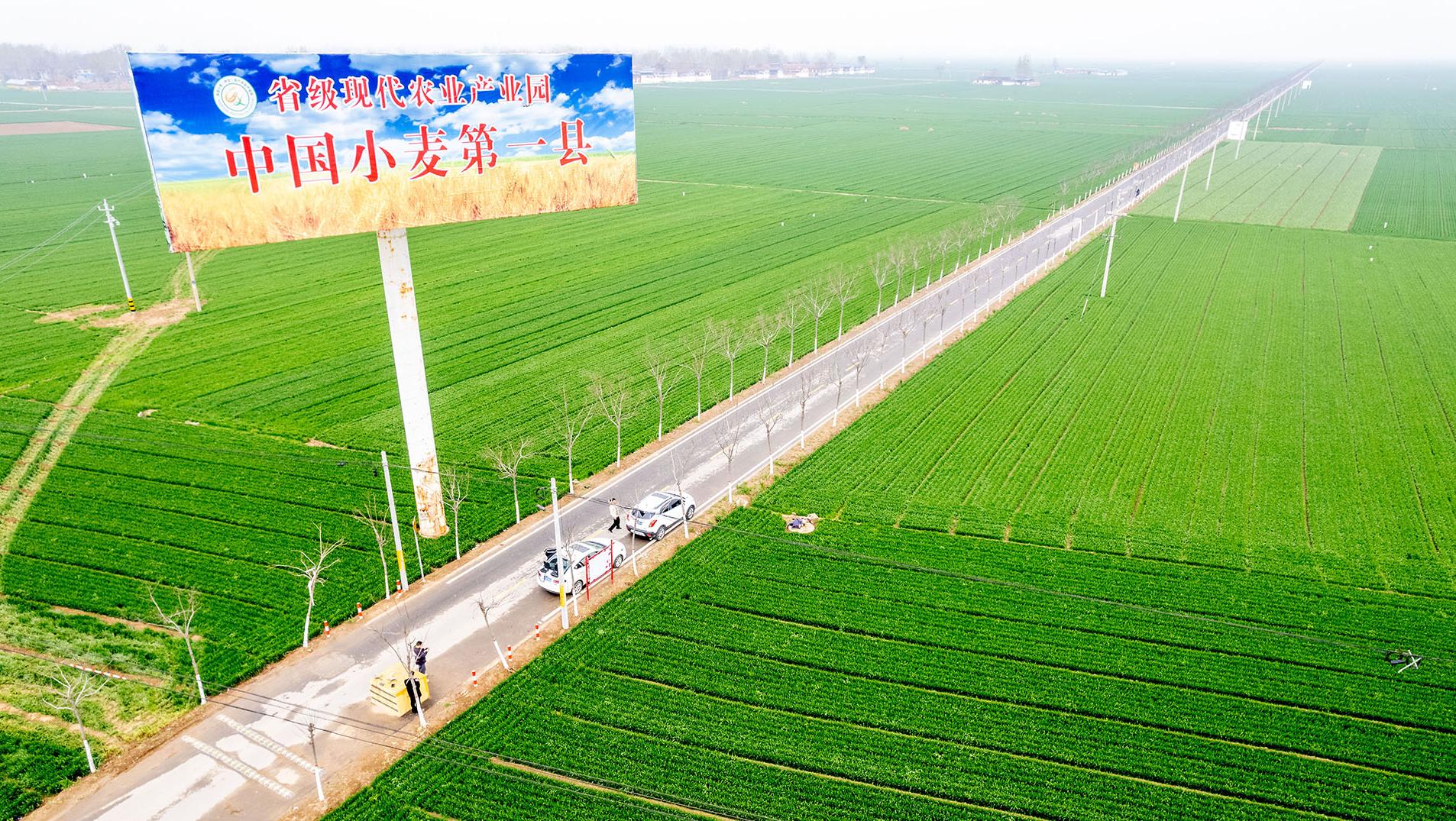 河南滑县：白马坡高标准农田示范区，总建设面积10.5万亩