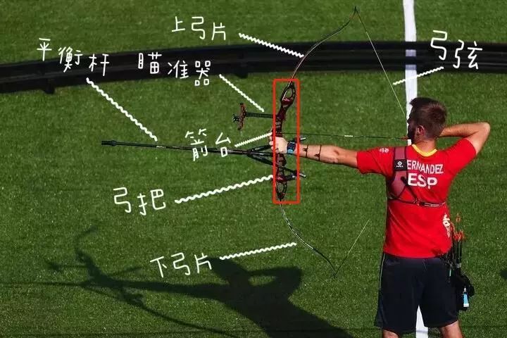 让我们来看一下反曲弓的结构:图片来源:搜狐号反曲弓直拉弓直拉弓是最