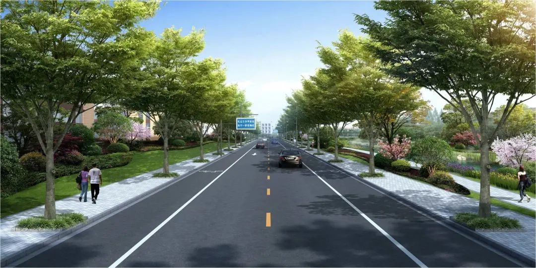 年底完工黄岩这条新路正式开工