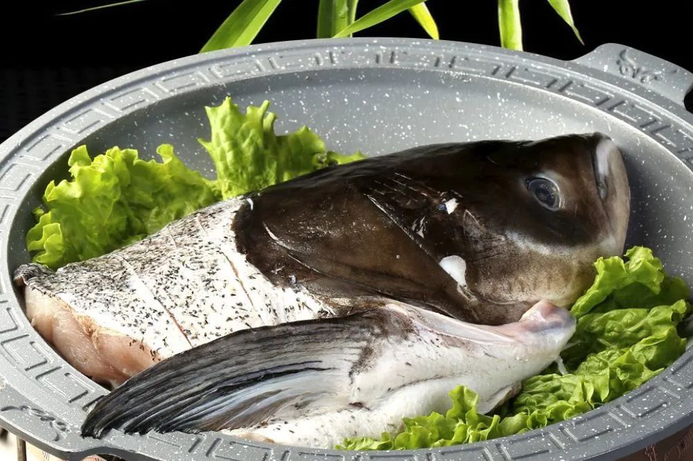 鲜美鳙鱼该怎么吃