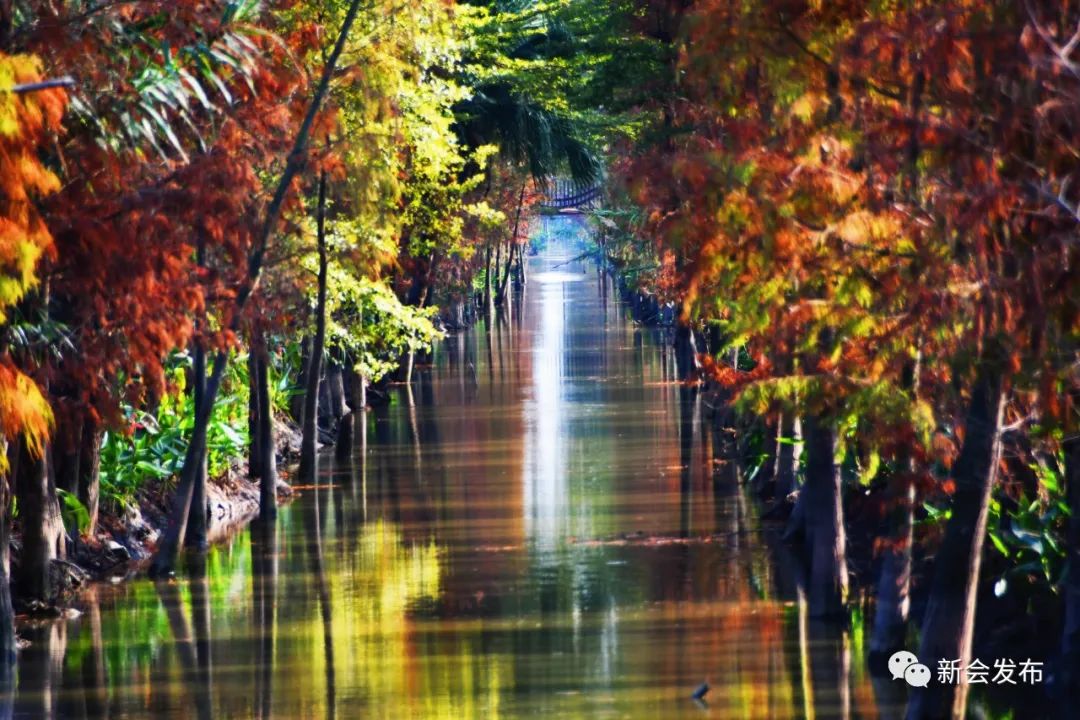 新会沙仔岛大美侨都锦田入选全省十大