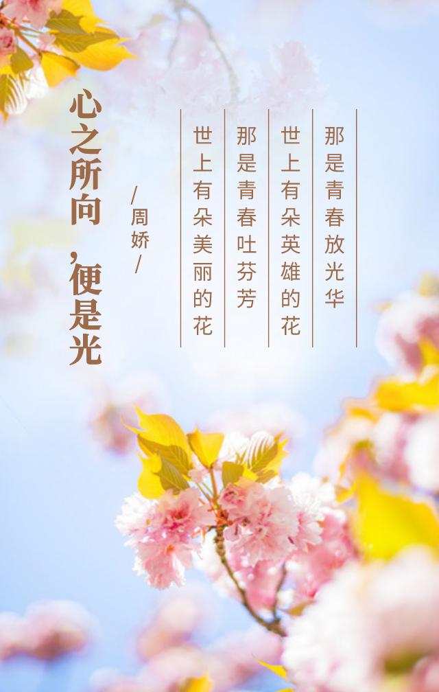 我与法庭共成长丨心之所向便是光