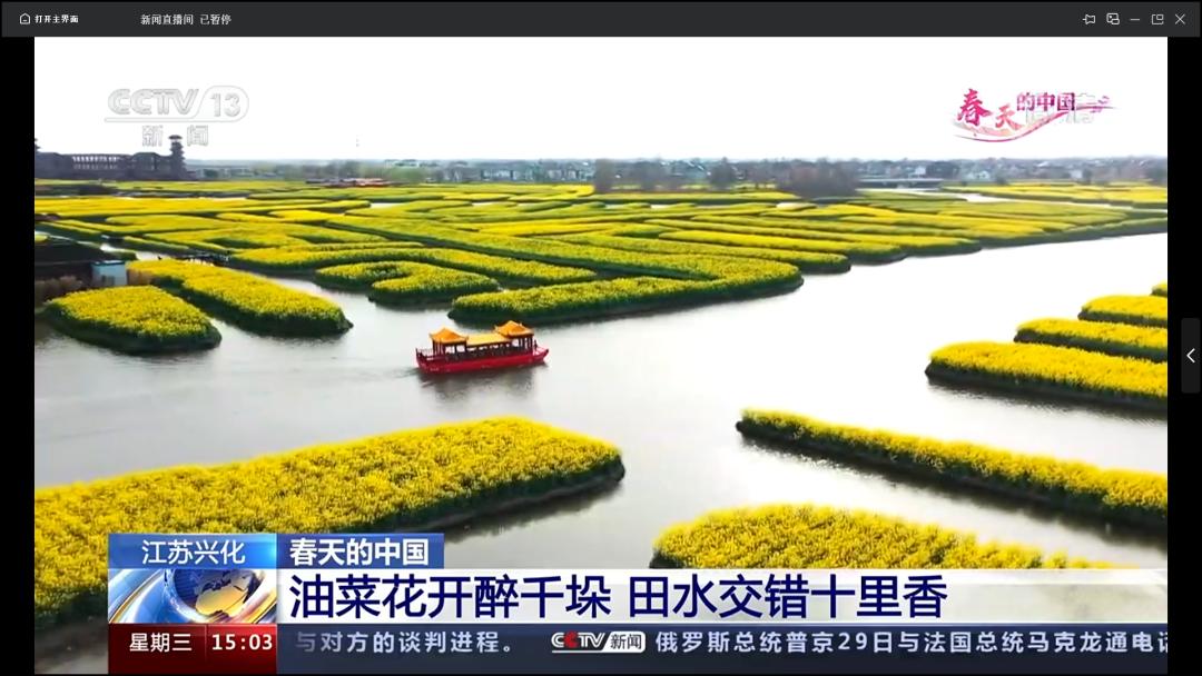 油菜花开醉千垛 田水交错十里香"春天的中国"特别节目央视新闻频道