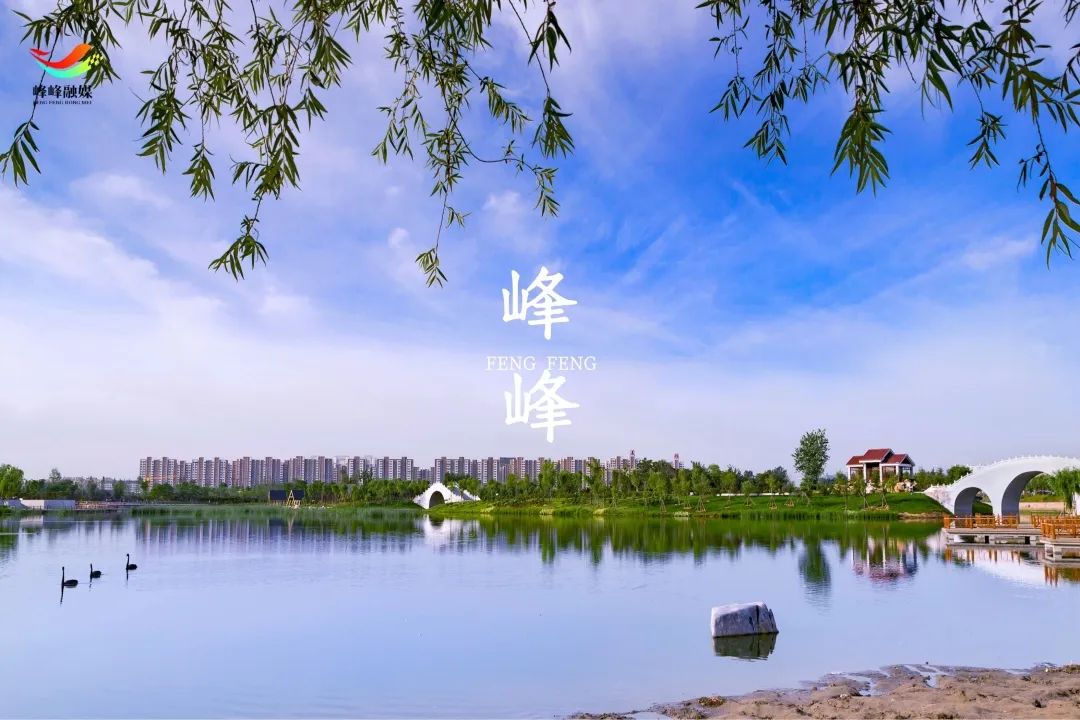 峰峰为什么吸引你