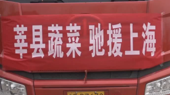 山東莘縣向上海、吉林等地供應新鮮蔬菜