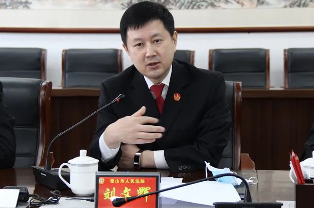 鸡西市委常委,政法委书记高启民一行莅临密山法院调研指导工作