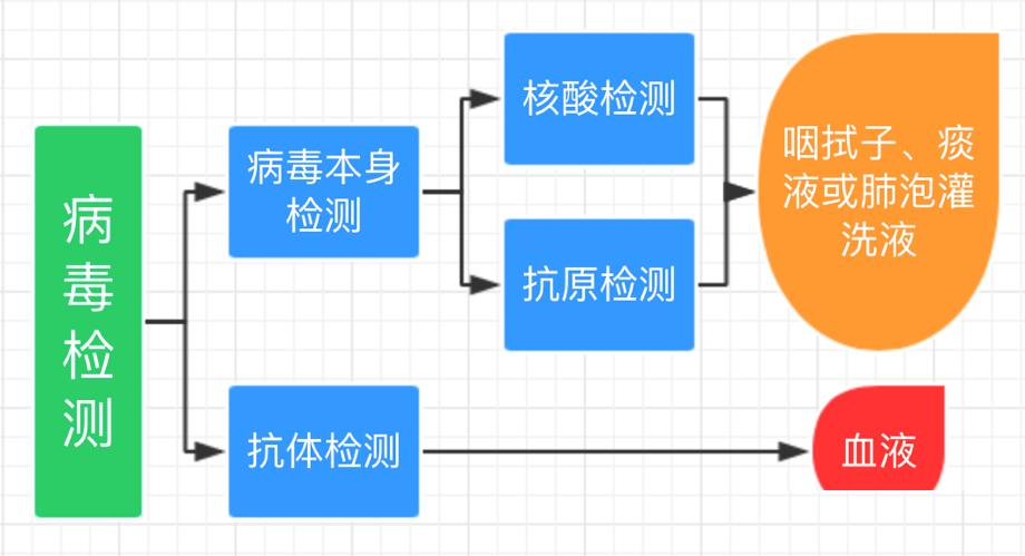 科學普及乾貨抗原自測和核酸檢測背後的生物學知識圖文版