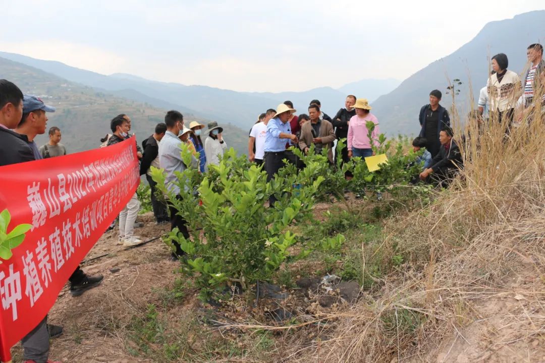 学做活动青华乡送技进村助力乡村振兴