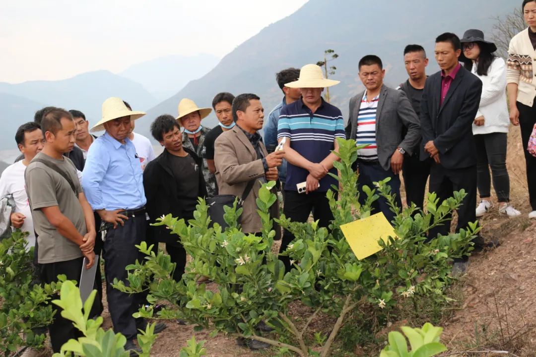 学做活动青华乡送技进村助力乡村振兴