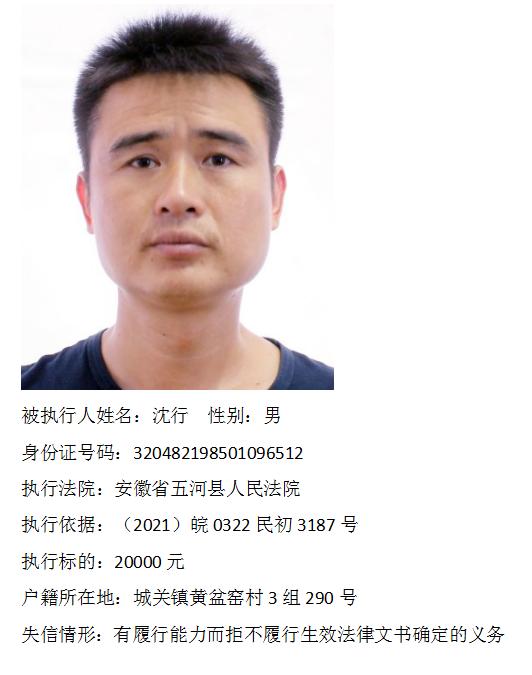 蚌埠法院失信被执行人曝光台第十八期