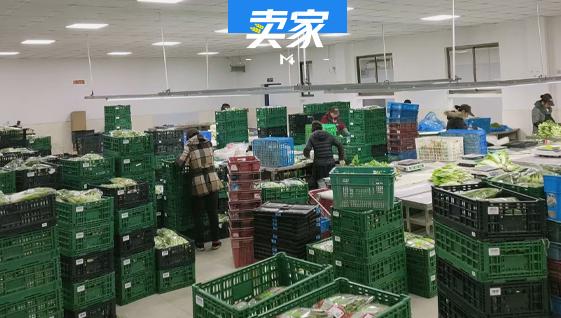 只发上海，蔬菜卖家爆单，每天解决500户家庭的需求
