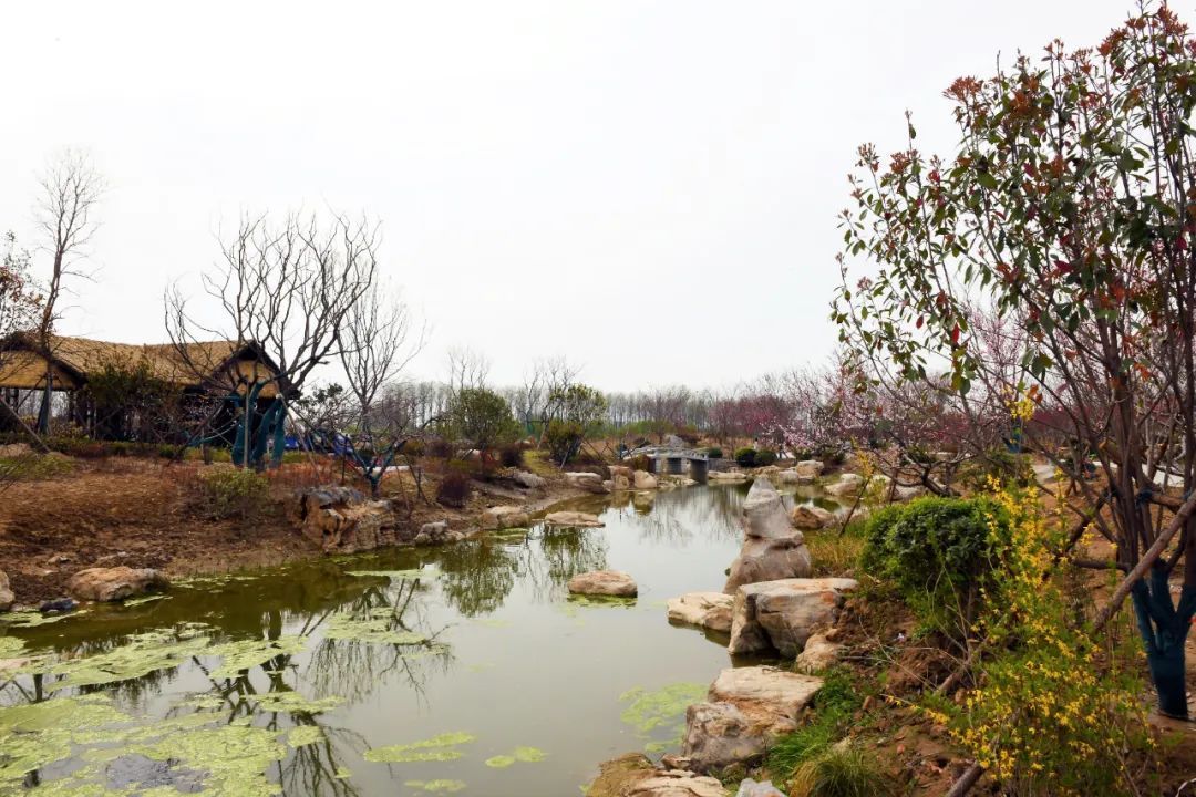 菏泽万福河湿地公园图片