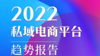 2022私域电商平台：核心用户群体以80/90后为主 | 精选报告