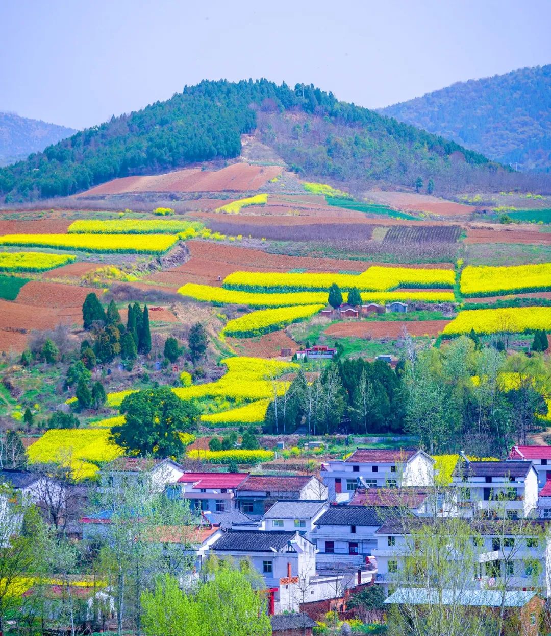 征集【4月诗影】生活不止眼前的苟且,还有诗和远方的田野