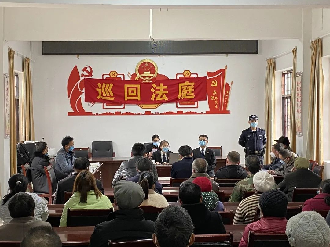 入站人大代表点赞这场巡回审判