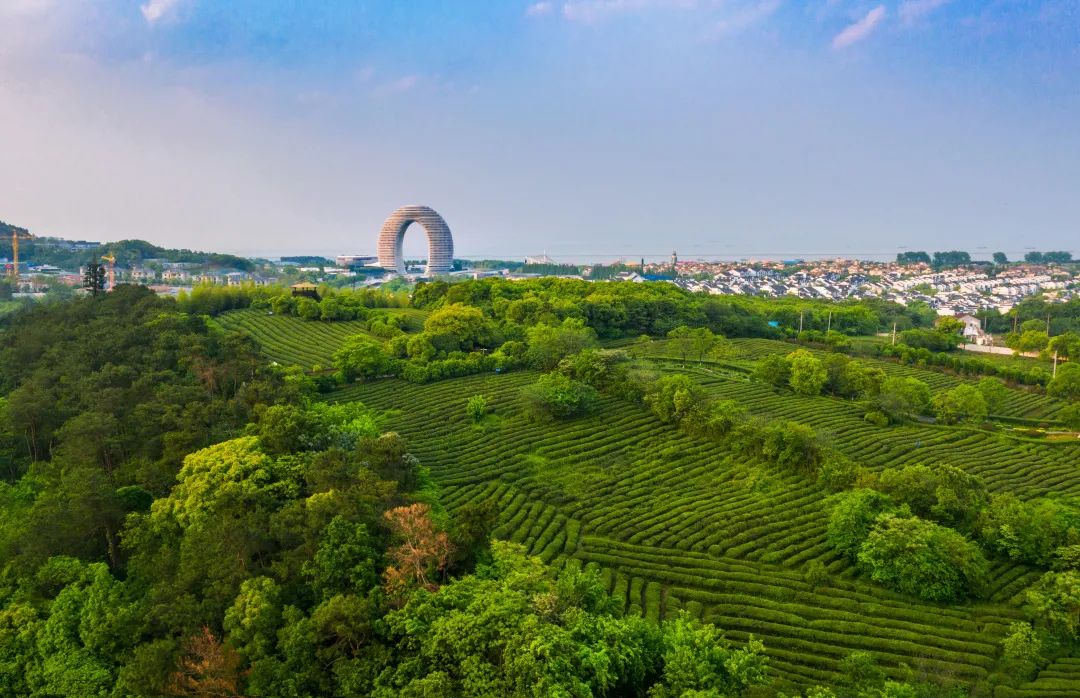 一把手话发展访南太湖新区旅游发展局局长章晓华全方位打造国际会客厅