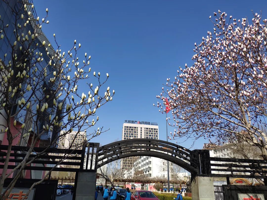 草长莺飞因你的缺席而落寞宁静的校园潍坊三中等待稚声将园中世界点亮