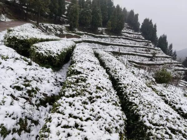 四月的貴州這三個地方下雪了