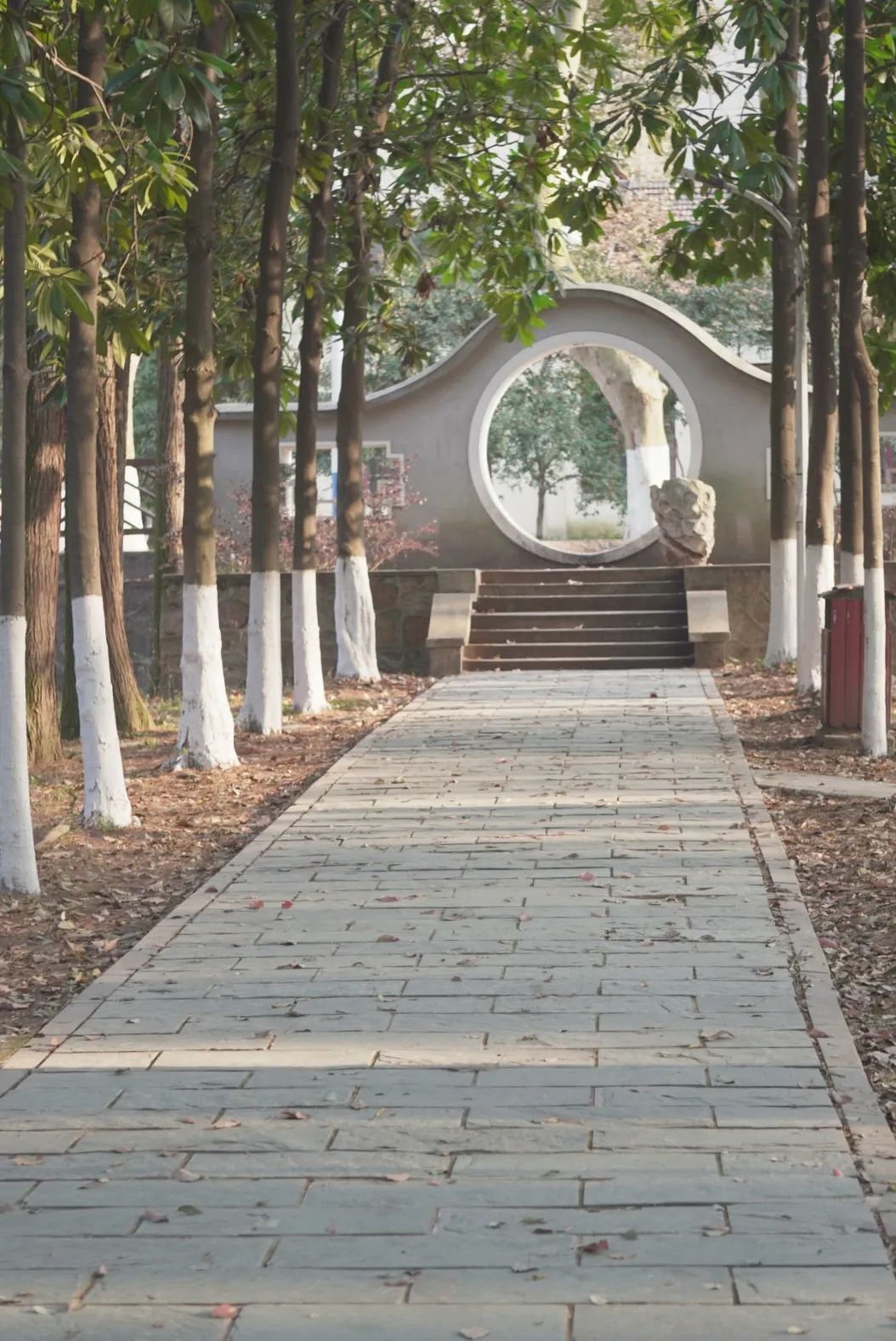 我的青年我的青年园