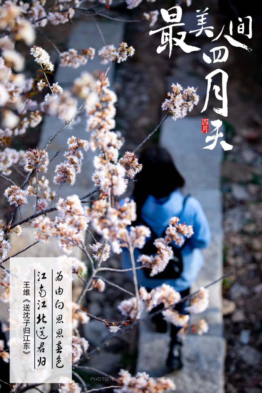 海报最美日照四月天