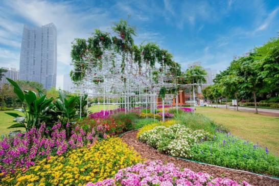 春日限定园博会珠江公园分会场赏花攻略请收好