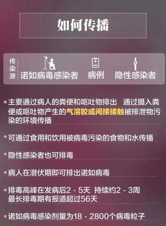 诺若病毒 澎拜新闻