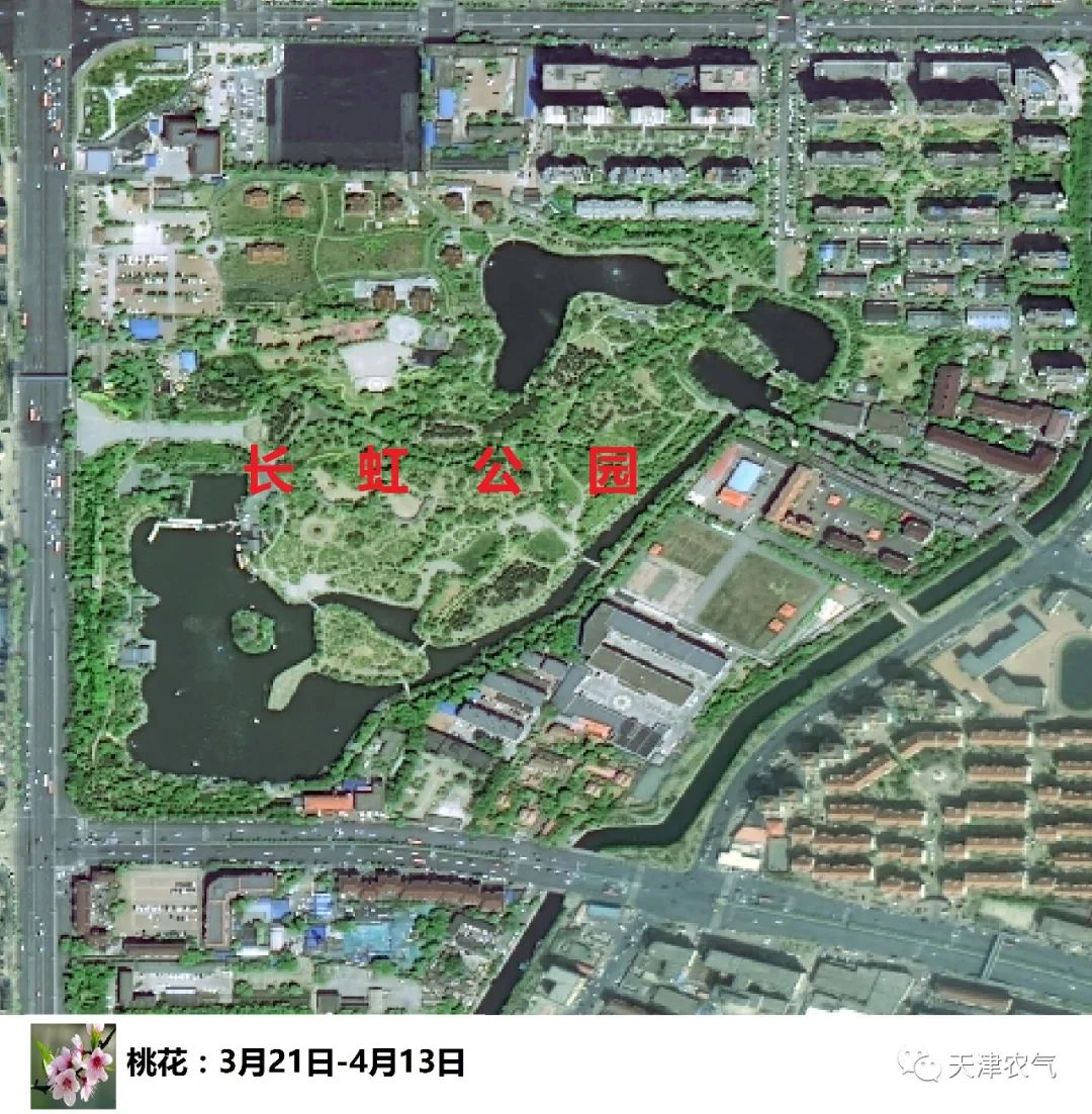 城事天津人的赏花时间表来了赶紧收藏